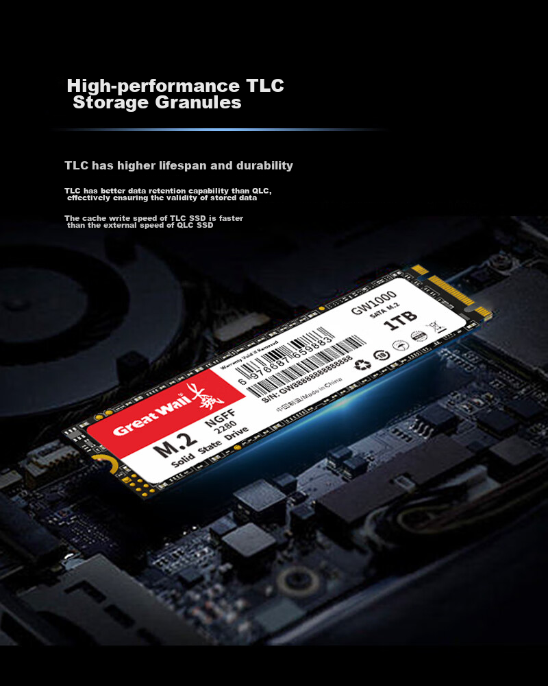 Great Wall 256GB SSD Solid State Drive, M.2 Interface SATA Protocol, Read Speed 540MB/s, GW1000 Series 3