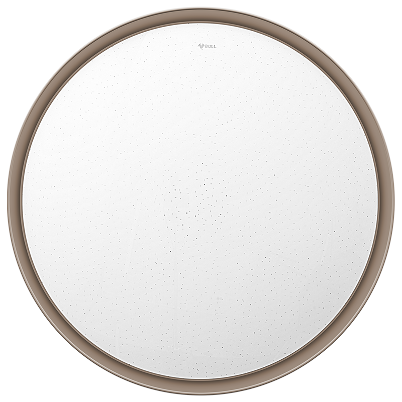 BULL Ceiling Light, Xingcan Smart Voice Bedroom Light And Living Room Light MX-B048045A Installation Included