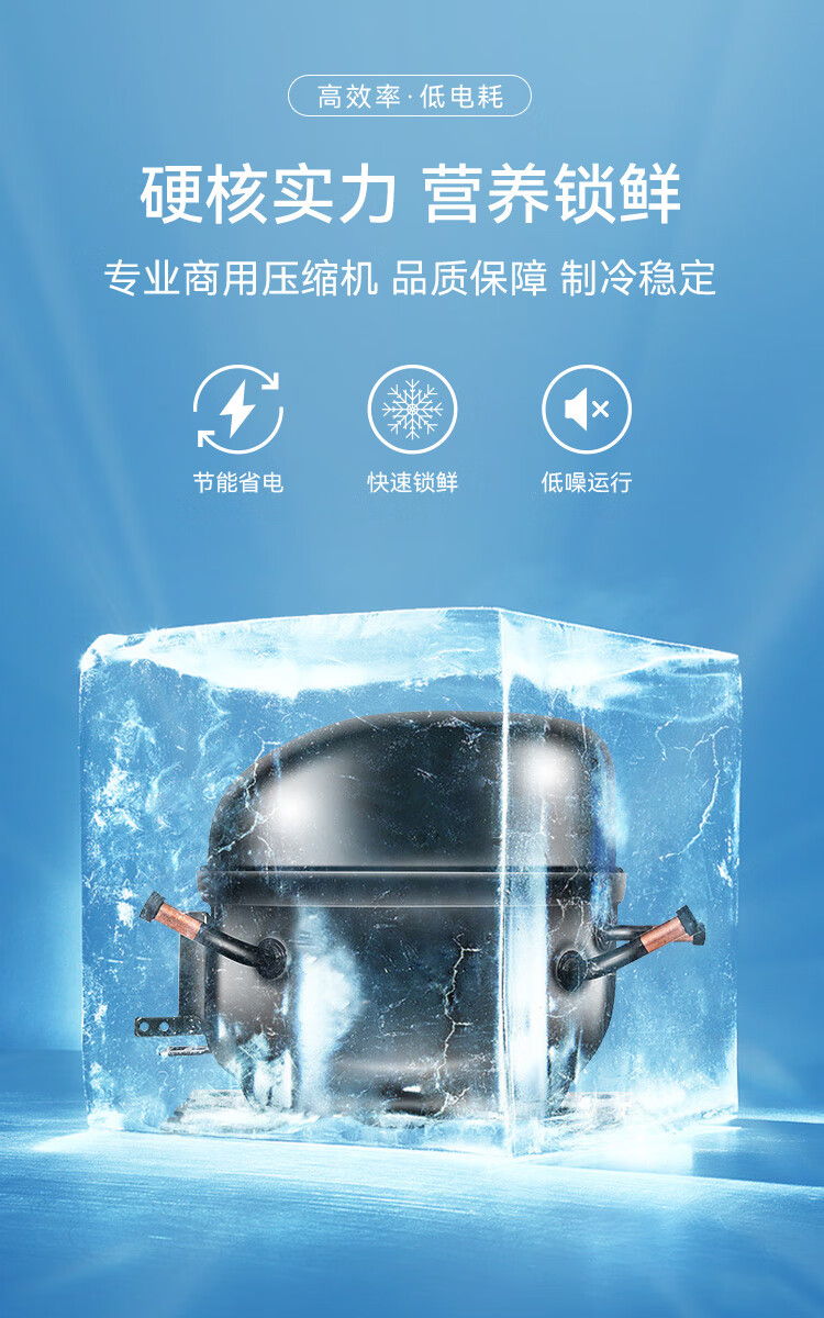 穗凌冷柜|穗凌|东骏冷柜|东骏