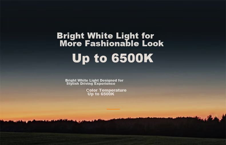 PHILIPS LED Car Headlights, High Brightness H4 Bulb, Halogen Upgrade Version, for Baojun 730, Geely Dihao, Lingdong 10