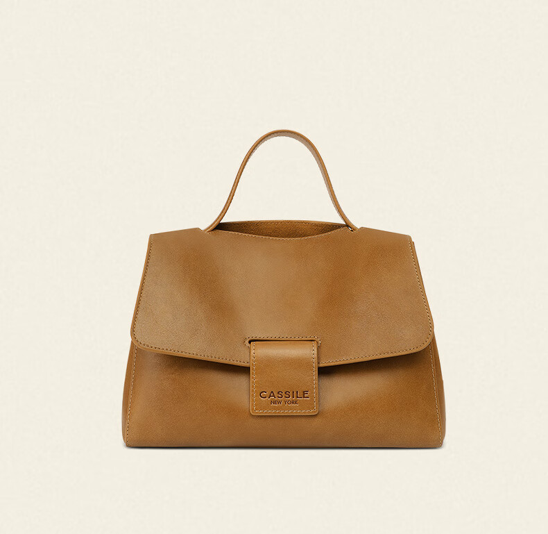 CASSILE Women's Handbag Tote Bag, Vegetable Tanned Top-Grain Leather, Large Capacity, Light Luxury Handbag, 520 Gift 18