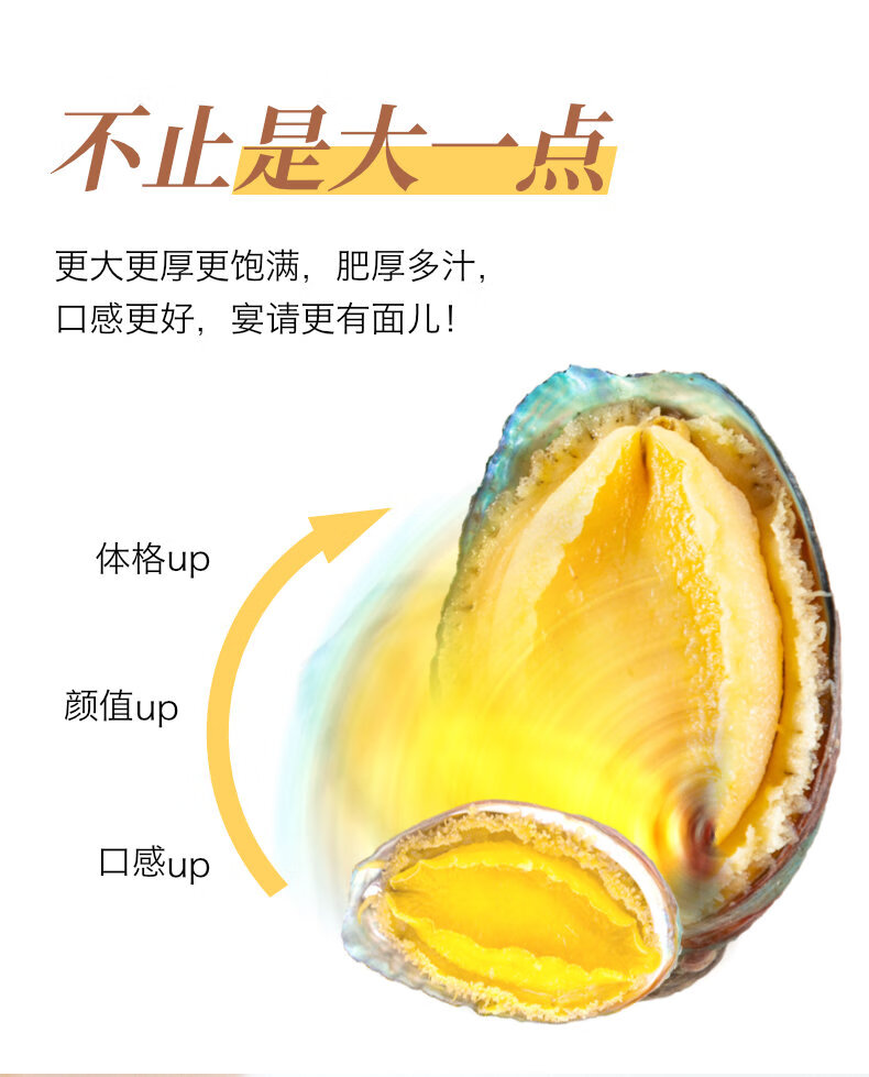 獐子岛 冷冻鲍鱼(大号)320g 6粒/盒 去脏去膜 蒜蓉料包 火锅煲汤 海鲜