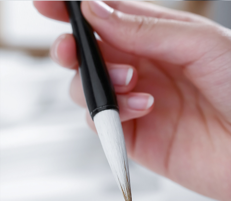 Rongbaozhai Calligraphy Brush, Mixed Hair Soft Brush for Calligraphy Practice in Large, Medium And Small Regular Script, Four Treasures of The Study, Chinese Painting Copybook, for Adult Beginners And Students, Beginner Mixed Hair - Small 11