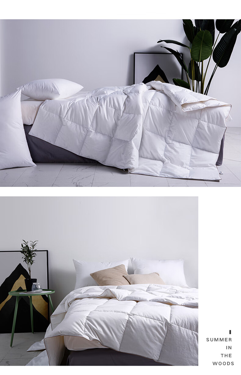 Sinuoman High-Quality 100% Imported 95% White Goose Down Duvet Insert, Comforter for Air Conditioning And Heating, 2.2*2.4m, 320g Filling, Gray 22