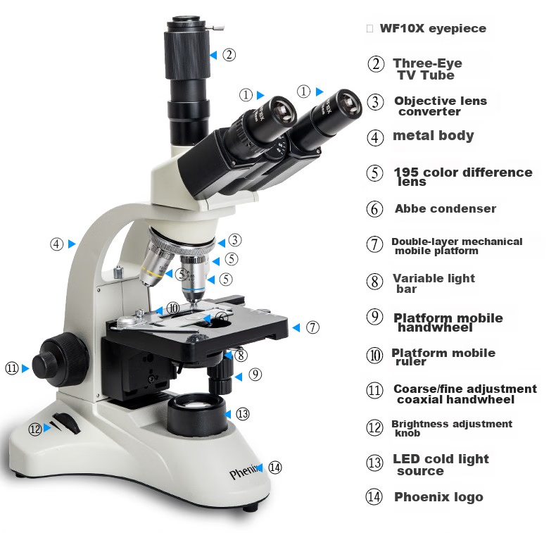 Phenix PH50-3A43L Three-Lens Biological Microscope, Professional Teaching And Experimental, High Magnification, High Definition, for Health Care And Livestock Breeding 19