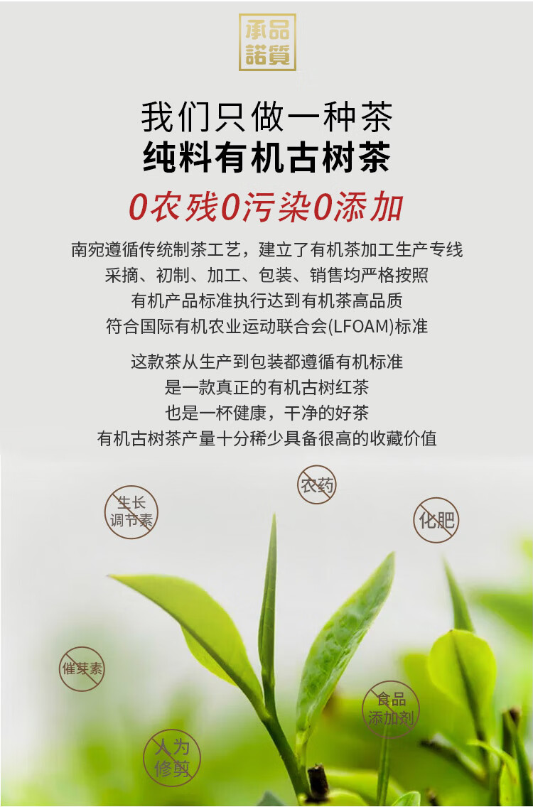 桂花茶_04.jpg