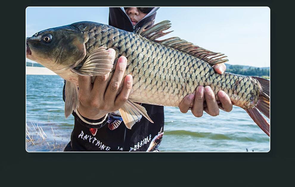 Jinglang 5.4-Meter Carp And Bighead Carp Fishing Rod, Ultra-Light And Ultra-Hard, 19 Sections, 6H Lightweight Big Fish Rod, Carp And Bighead Carp Pole, Fishing Rod for Platform Fishing 10