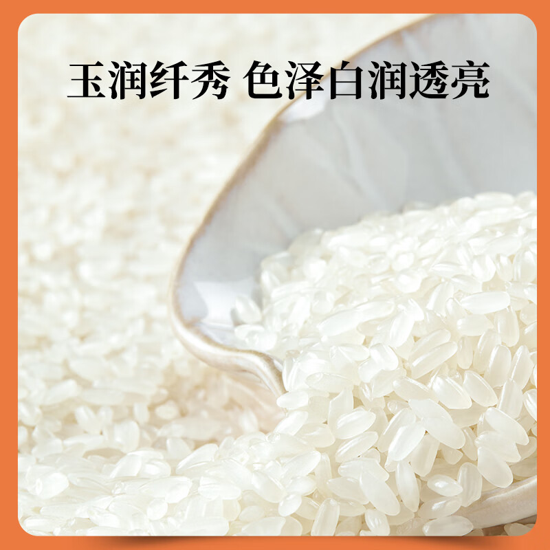 十月稻田 当季新米 长粒王香米 10斤（东北大米 长粒香米 5公斤）