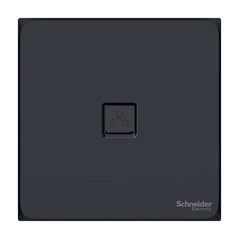 Schneider Single-Port Computer Socket, Cat5e 100Mbps Network Cable Information Socket, Haocheng Series, Elegant Black