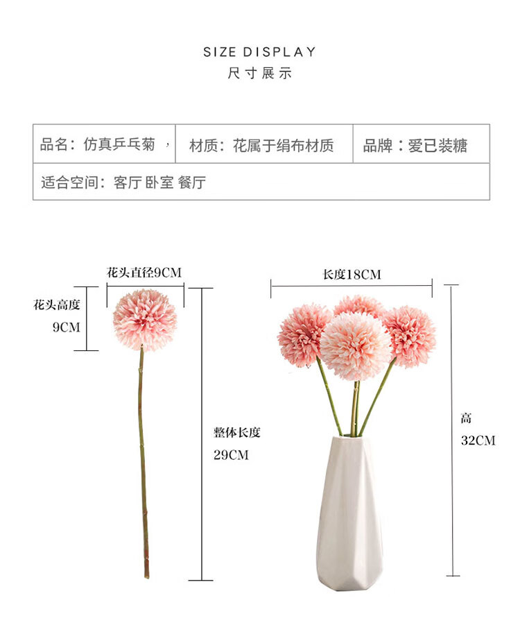 乒乓菊_03.jpg