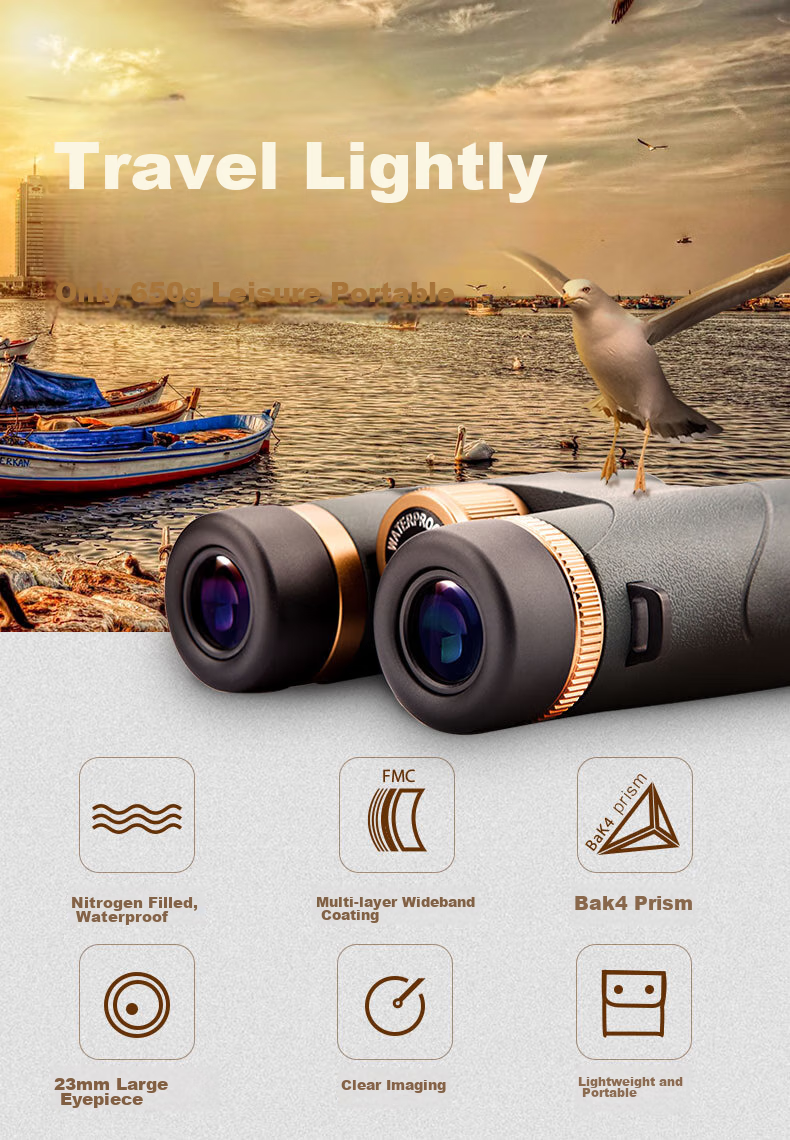 BOSMA Binoculars, High-Definition, High-Magnification, Adult Low-Light Night Vision, Portable Hummingbird 10X42ED Micro-Prism Field 2