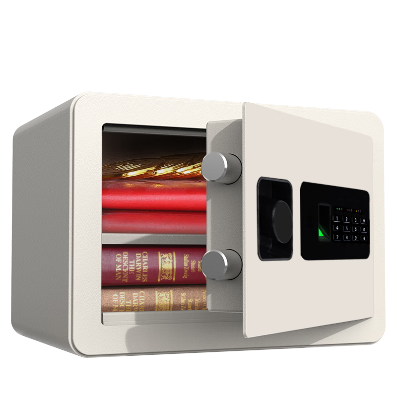 Deli Safe, Home And Office Fingerprint Password Security Box, Small Wall-Mounted Or Cabinet-Embedded Storage Cabinet, Hidden Confidential Cabinet, Can Be Fixed Installation, 25cm Jade White