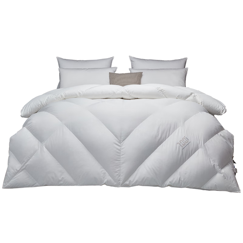 Canasin AFree Pure down Comforter, 95% Down, 120S Winter Duvet, Goose down Quilt, Weight 2.1 Jin, 200*230cm, White