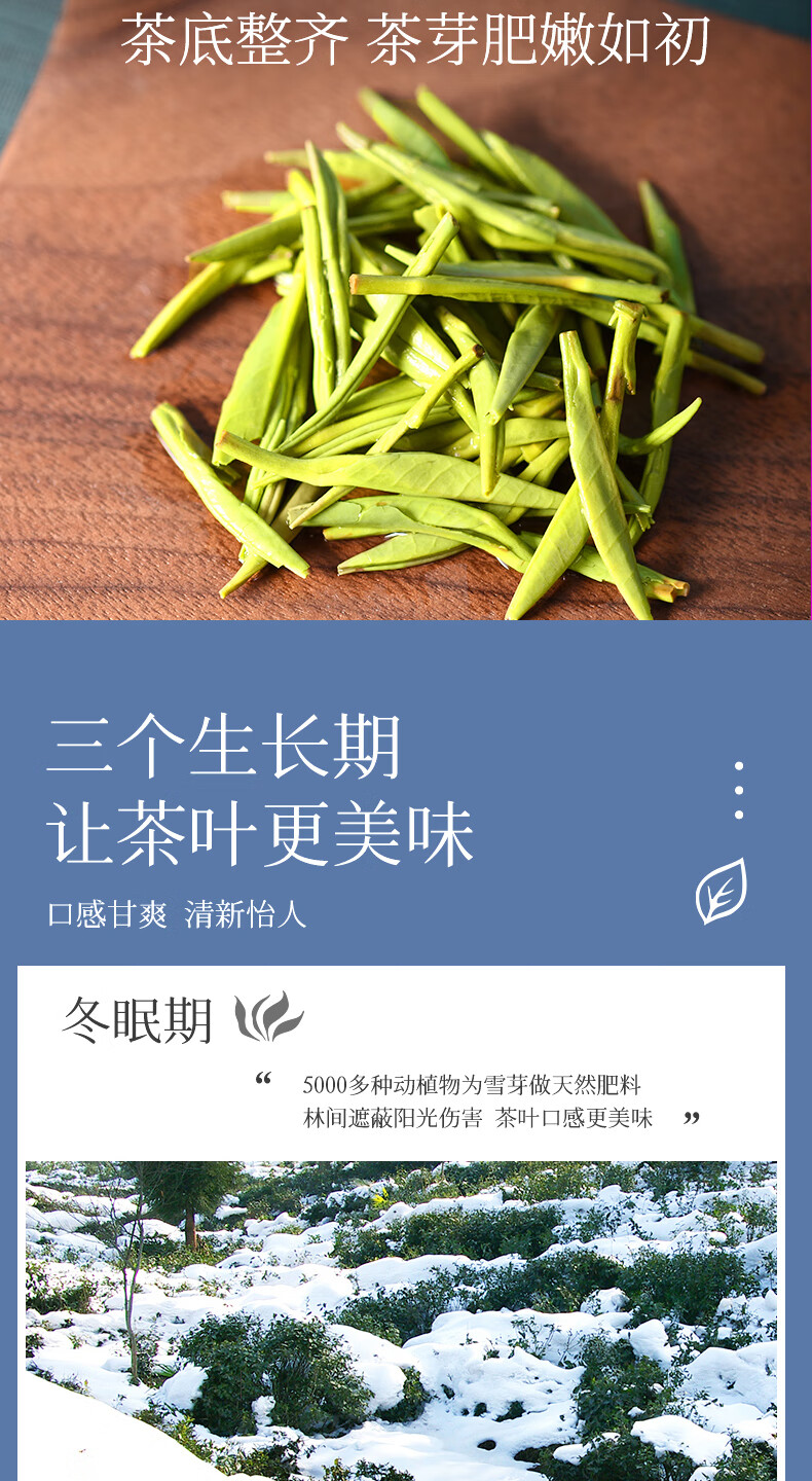 峨眉雪芽 精制有机绿茶 茶叶四川峨眉山茶严选春茶茗茶礼盒126g