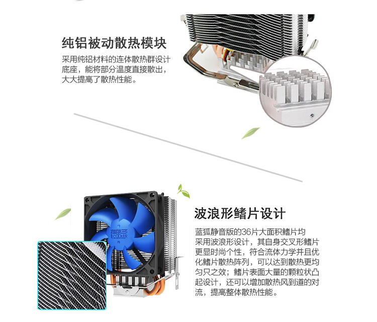 蓝狐_05.jpg