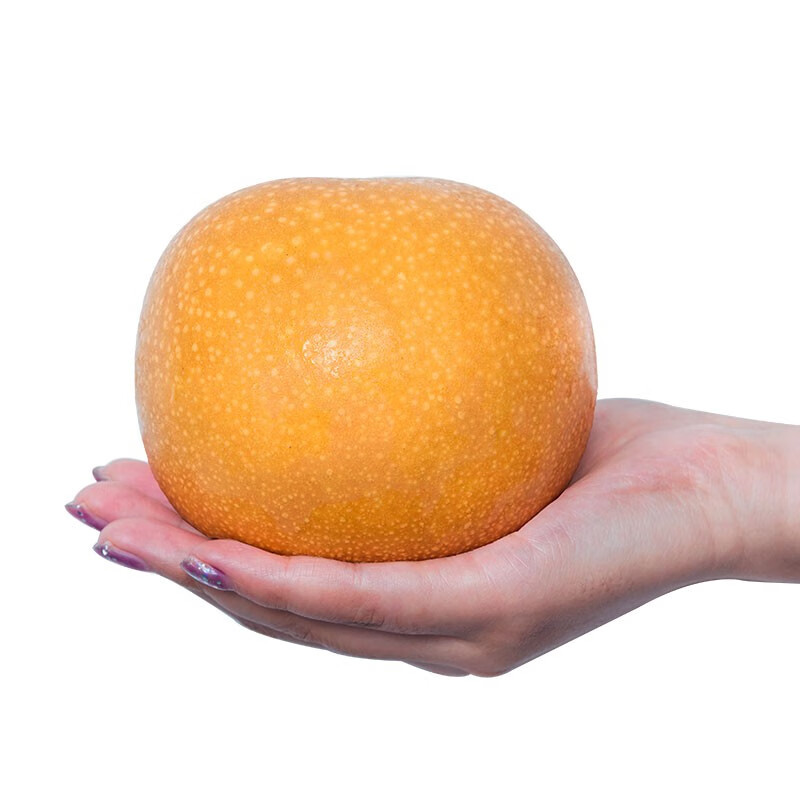 京鲜生 青青大地莱阳秋月梨 6斤装 6粒 单果450g+ 生鲜水果礼盒