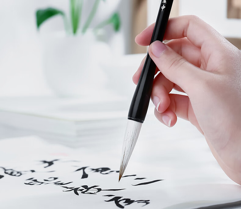 Rongbaozhai Calligraphy Brush, Mixed Hair Soft Brush for Calligraphy Practice in Large, Medium And Small Regular Script, Four Treasures of The Study, Chinese Painting Copybook, for Adult Beginners And Students, Beginner Mixed Hair - Small 10