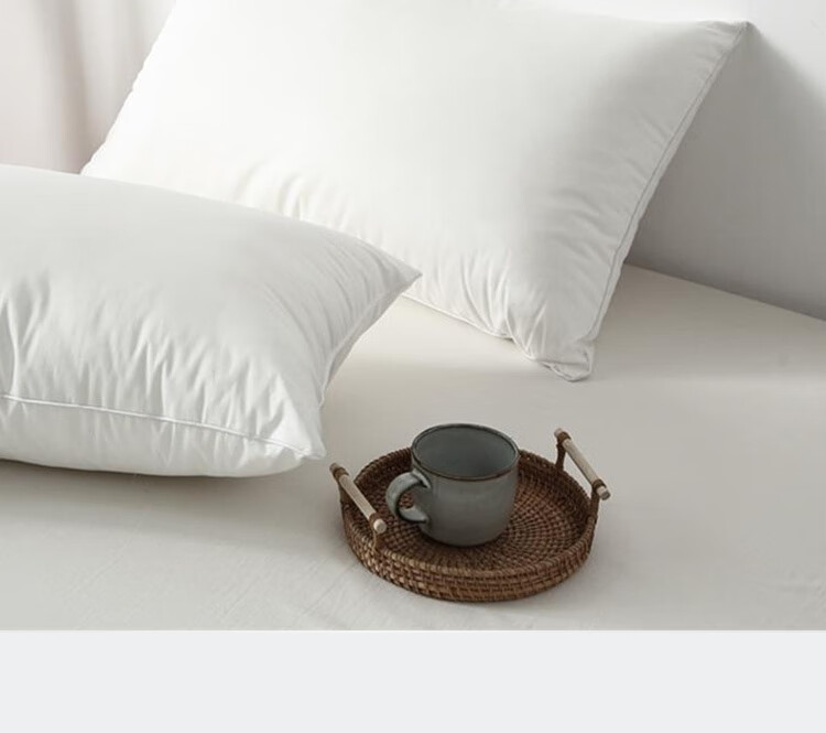 Ranpai Hotel Bedding Set, Pure Cotton, Includes Quilt, Mattress Pad, And Pillow, Three-Piece Set, Duvet Insert 3 Jin (1.5 Kg), for 1.2-Meter Bed, White 21