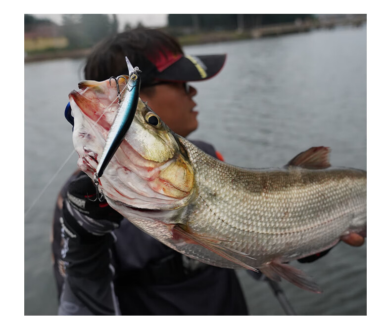 Guowangliya Lure Fishing Bait, Invisible Sinking Minnow Lure, Long-Distance Casting, Wiggling And Sinking, for Sea Bass, Perch Fish And Bass 10