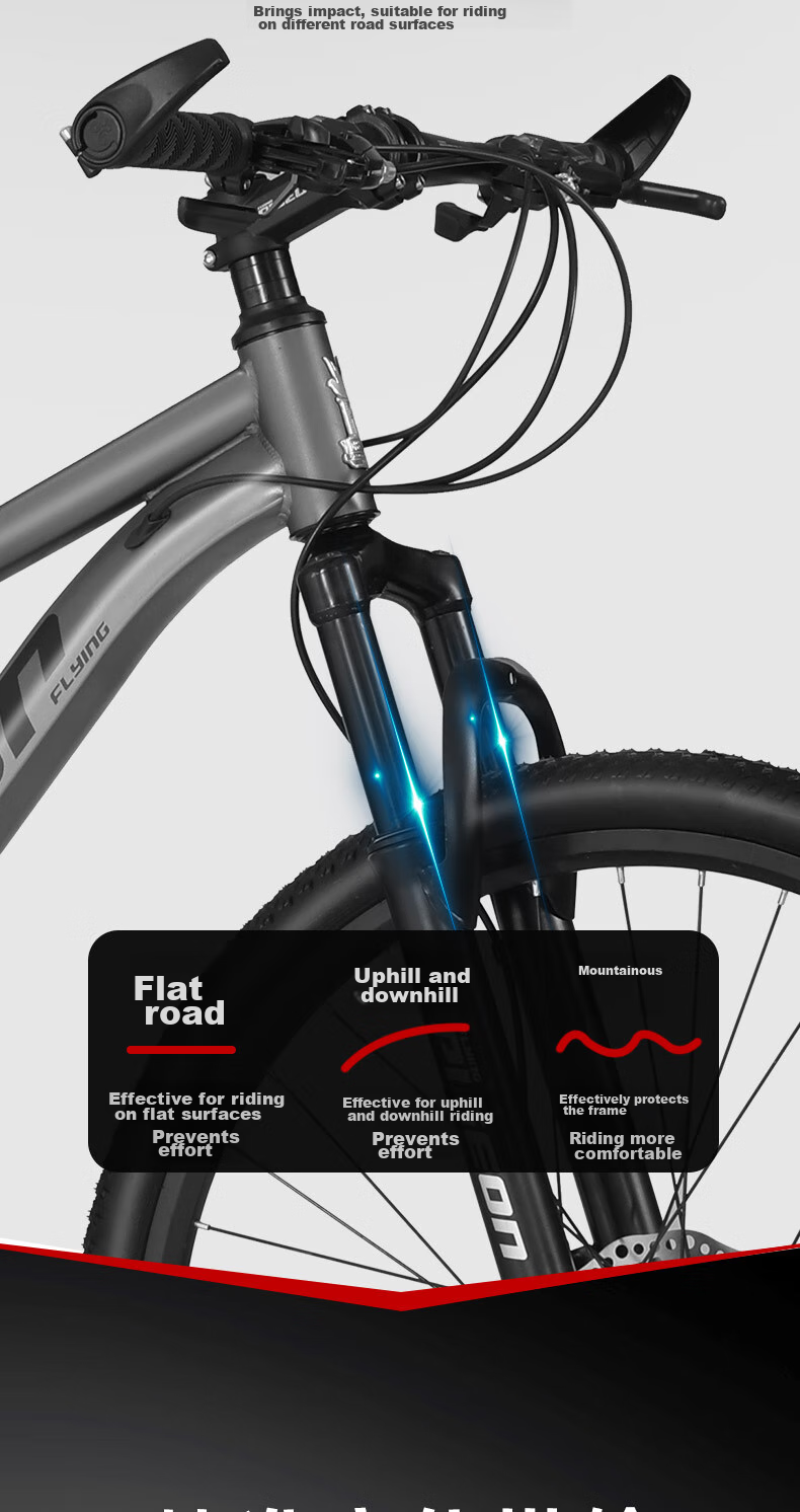 FG FLYING PIGEON Bicycle for Older Children, 21-Speed Mountain Bike, Youth Shock-Absorbing Bicycle, Student Pedal Bike, 26-Inch, Gray 8