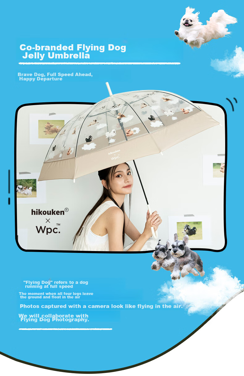 Long Handle Umbrella, Transparent Umbrella, Cute Pet Japanese High-Value Straight Pole Cat Dog Umbrella for Men And Women, Lazy Cat Jelly Umbrella, Beige 5