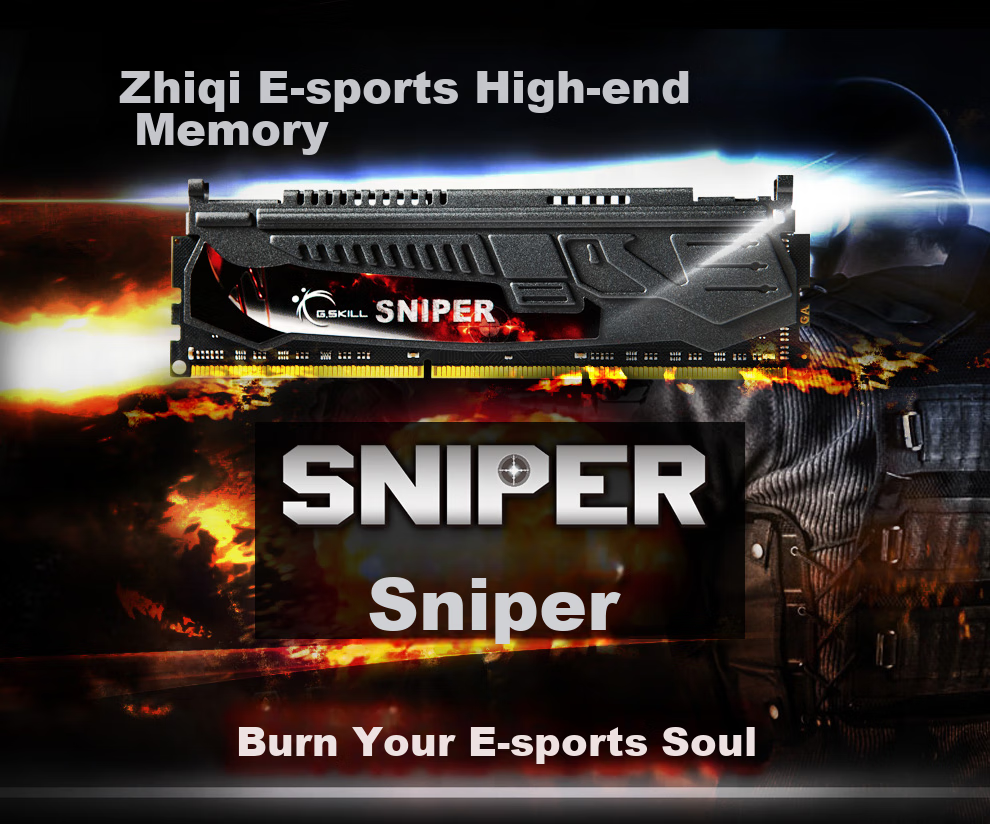 G.SKILL Sniper DDR3 2400MHz 8GB (8G×1) Desktop Memory 12