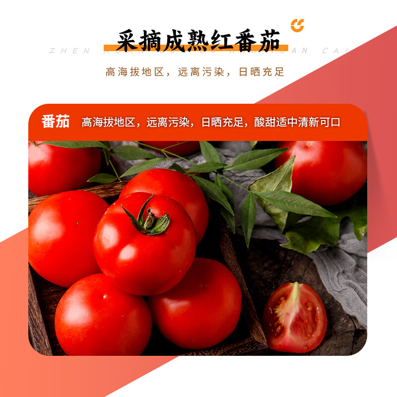 呷哺呷哺 田园番茄火锅底料 麻辣烫冒菜调味料 番茄味火锅食材180g