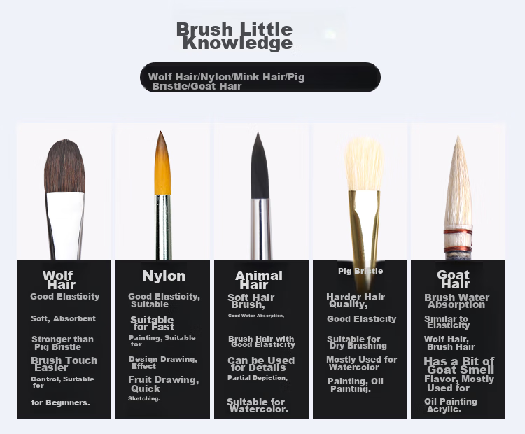 Transon Nylon Brush Set Paint Brushes for Wall Painting, Acrylic Paint, Watercolor, Gouache, Oil Painting, Children's Art, Flat Brush Tools - Single 6# Sketching Markers Drawing 11