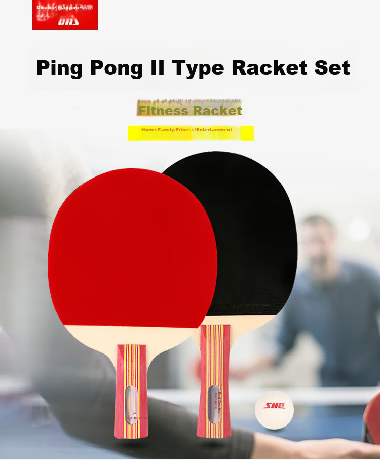 DHS Table Tennis Racket, 3-Star Penhold Grip, Single Racket, Double-Sided Reverse Rubber, Five-Layer Pure Wood H3002, Includes 6 Ping Pong Balls 2