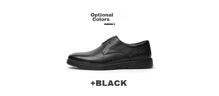 Goldlion Men's Shoes, Business Formal Shoes, Autumn Simple Lace-Up Dress Shoes, Lightweight Leather Shoes, 59674007501A, Black, Size 40 15