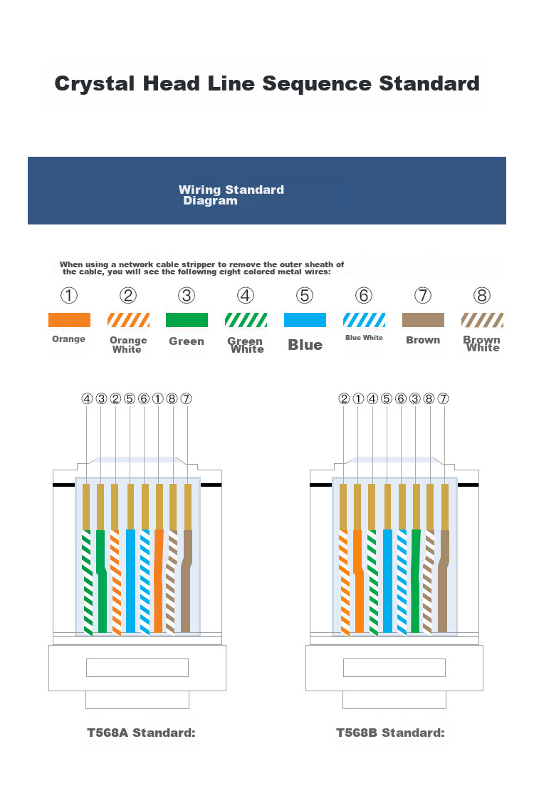 CHOOSEAL (CHOSEAL) Cat6 Unshielded Crystal Head RJ45 10Gbps Engineering-Grade Network Connector Cat6a Computer 8P8C Ethernet Cable Connector 50-Pack QS9095Z50 12