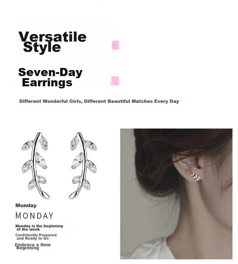 Dijing 999 Sterling Silver Earrings for Women, 2026 New Style Birthday Gift for Girlfriend, One-Week Stud Earrings, Ear Ornaments, Ear Drops 7
