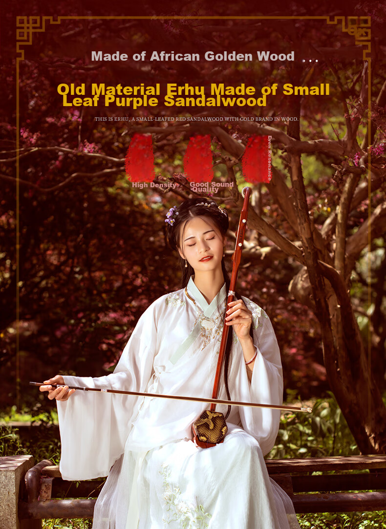 Daoyun African Rosewood Erhu for Beginners, Professional Performance Adult Playing Erhu Musical Instrument 1