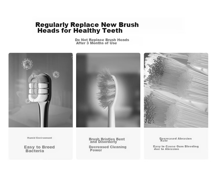 Hongmengzhixuan Libode Smart Electric Toothbrush Star Diamond Edition Brush Head, Efficient Cleaning Type, 2-Pack (Black) 5