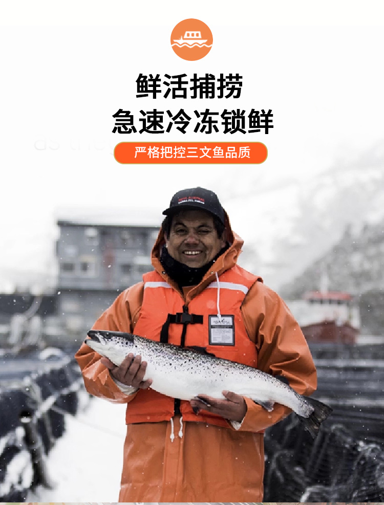 蓝雪 冷冻三文鱼扒(大西洋鲑)500g出口欧盟25年2~3块袋装生鲜海鲜水产