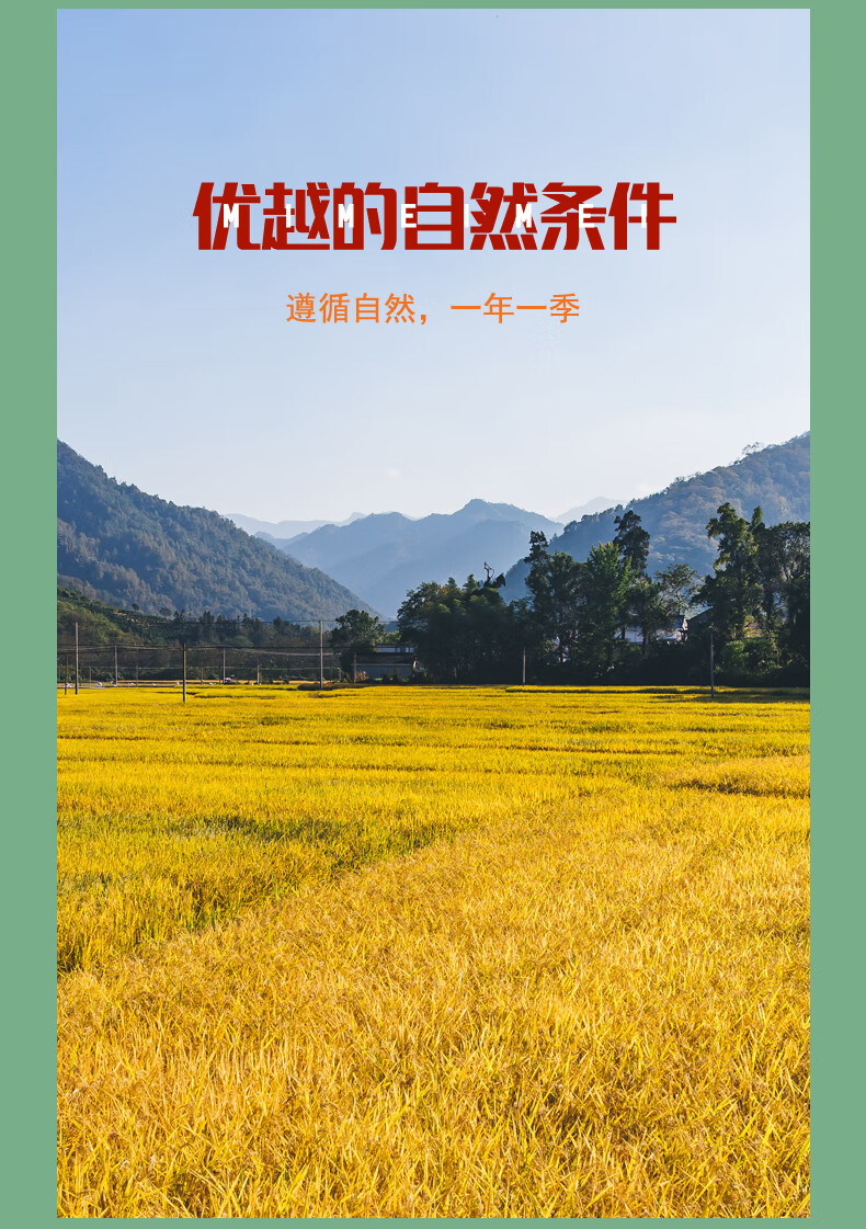 详情图.png