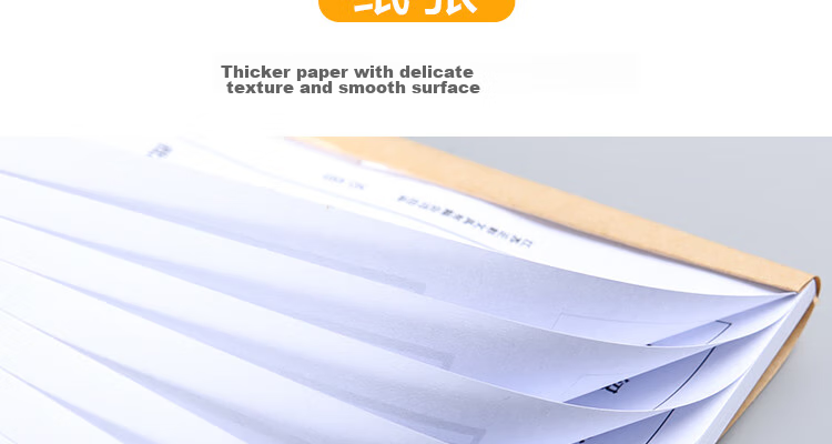 DiLe Premium Series Customized Recommendation Letters, Financial Documents, Office References, Company Introductions, 50 Sheets/book, 4503 (Pack of 5) 8