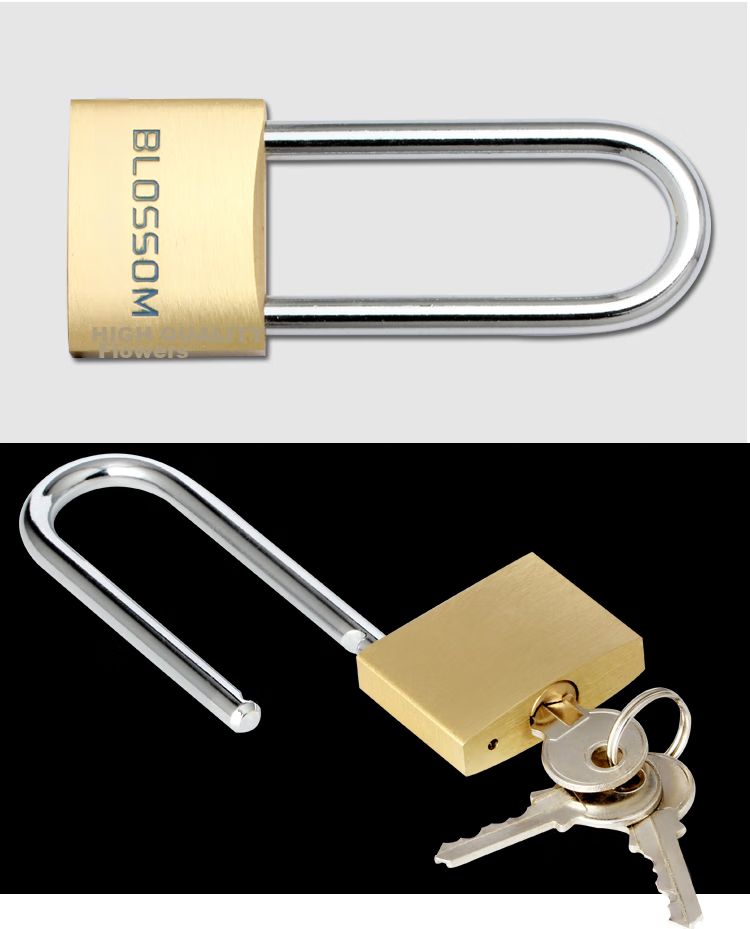 BLOSSOM Brass Padlock, Long Shackle Lock, Indoor Door Dormitory Lock, Waterproof Rust-Proof Lock, Student Drawer Cabinet Lock BC074L 10