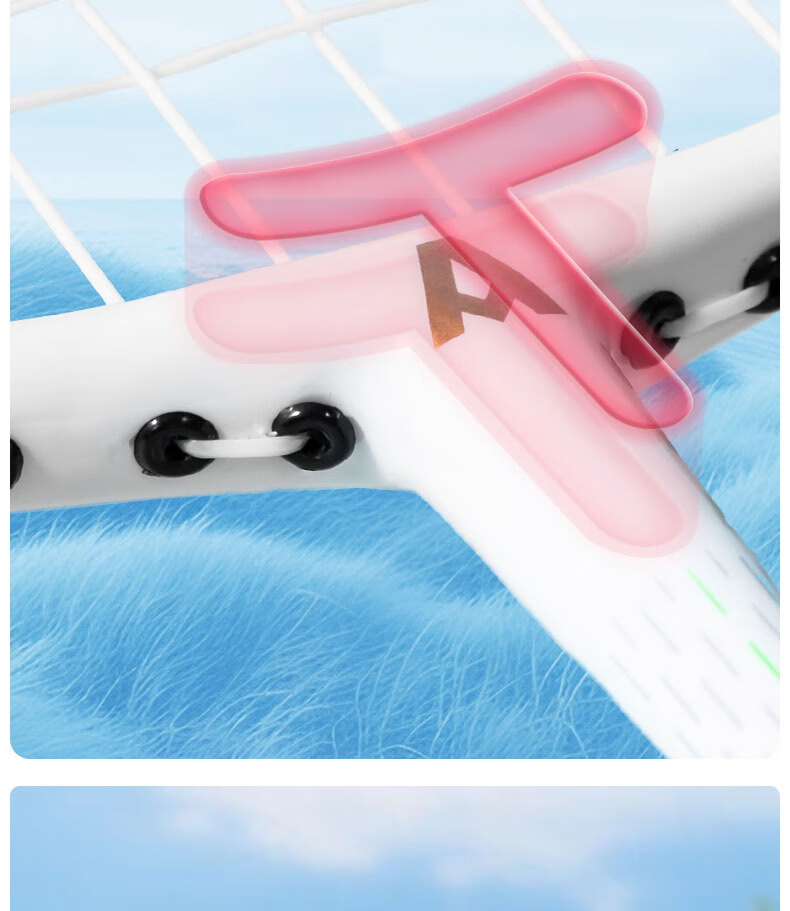 Deli & Angenite Integrated Durable Badminton Racket Set for Youth And Adults Training And Competition, Super Package - Lingshou 5