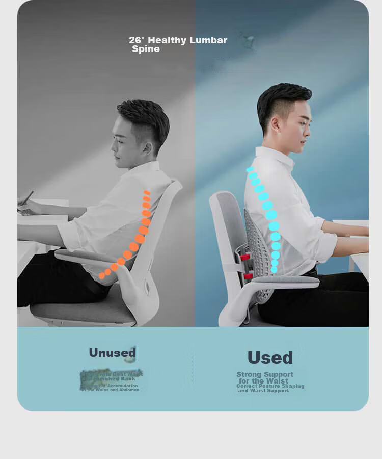 Leban Ergonomic Lumbar Support Cushion Back Pillow, Waist Protector for Long Sitting, Office Lumbar Pad, Classic Memory Foam Model 11