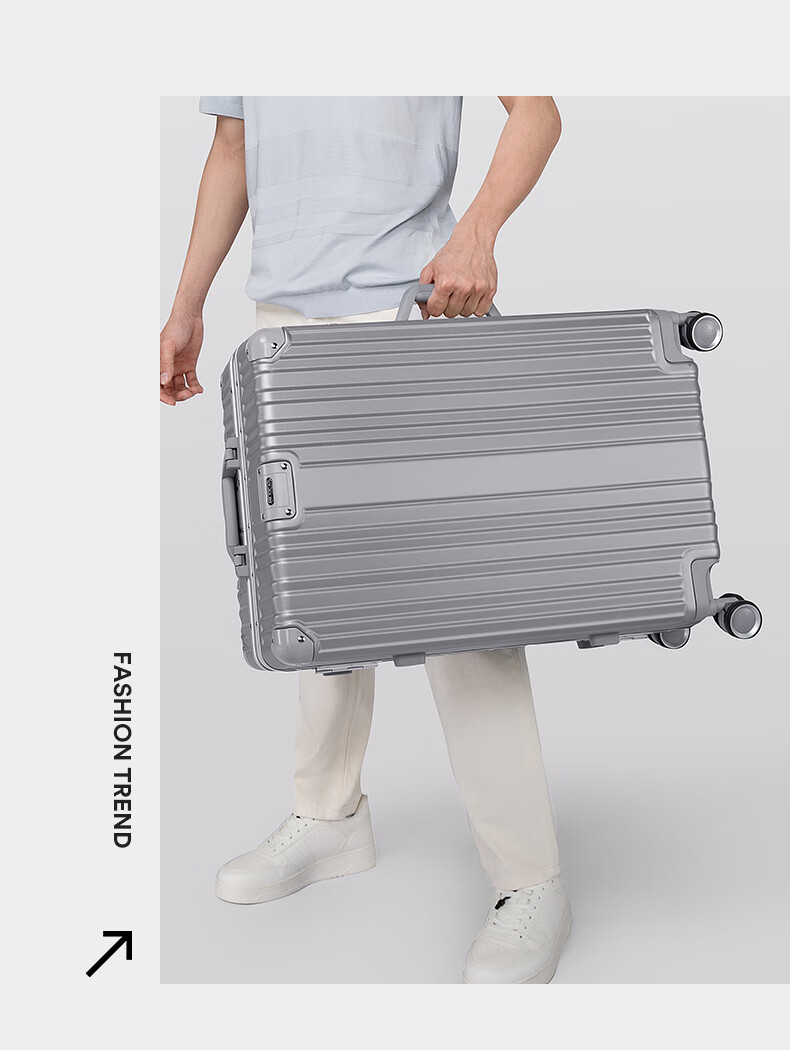 MEXICAN Aluminum Frame Suitcase, Unisex 24-Inch Trolley Case with Password Lock, Travel Luggage for Business Trips, Leather Suitcase, Check-In Luggage, Silver Color 10