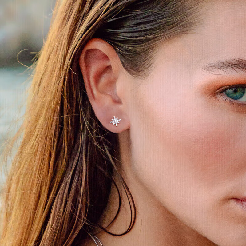 APM Monaco Mini Hexagram Stud Earrings, Luxurious And Elegant Ear Jewelry, Birthday Gift for Girlfriend Or Wife