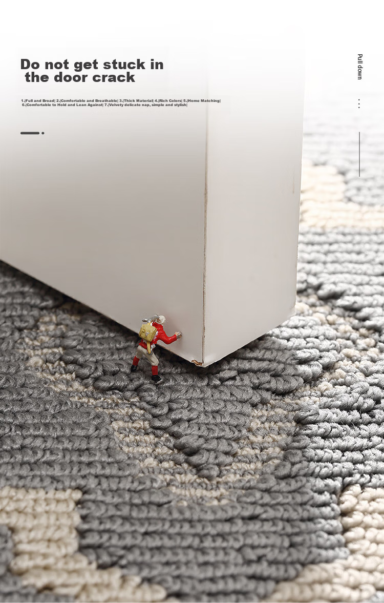 Dajiang Entrance Mat, Doorway Rug, Luxurious High-End Foyer Mat, Indoor Door Mat, Entrance Mat, 90x150cm 7