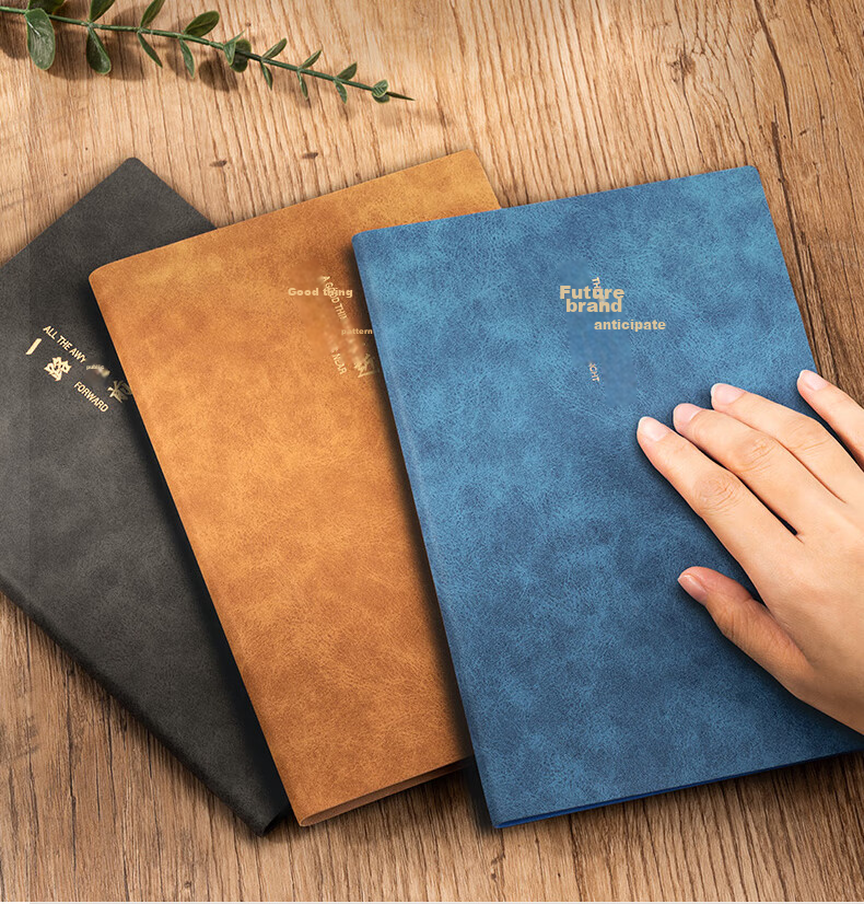 Deli A5 Lambskin Notebook, Leather Cover, Business Office Journal, Fashionable Text Series (Looking Forward), 80 Sheets BP152 Blue 5
