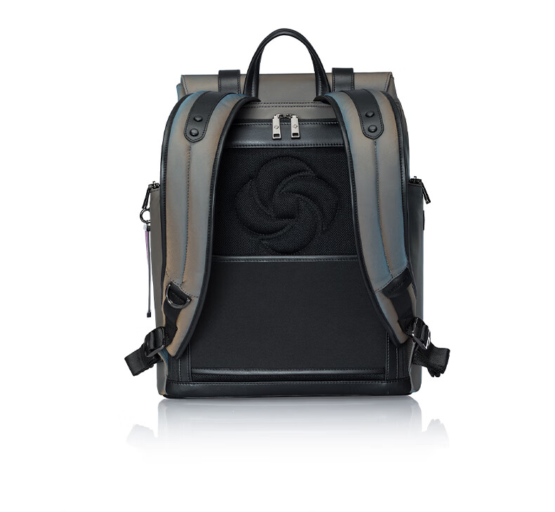 Xinxiuli Casual Fashion Backpack Laptop Bag, 15.6-Inch, for Men And Women, Reflective Material, Cowhide Leather, TM7*013 11