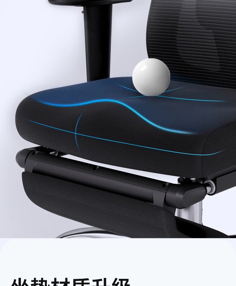 Deli KF221-J Ergonomic Chair, Height Adjustable Armrest Office Computer Chair, Alloy Feet with Footrest, Premium Versio 7