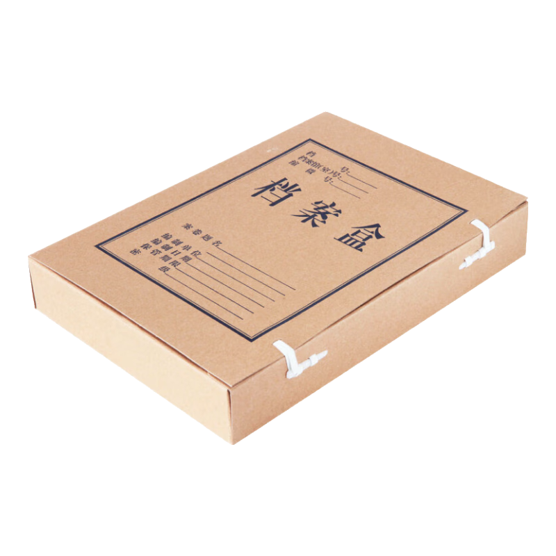 TRNFA TN-DA3010 Imported Acid-Free Thick Kraft Paper File Box/A4 Document Box, Pack of 10, Acid-Free Document Box/classic Pure Pulp, 10cm Wide