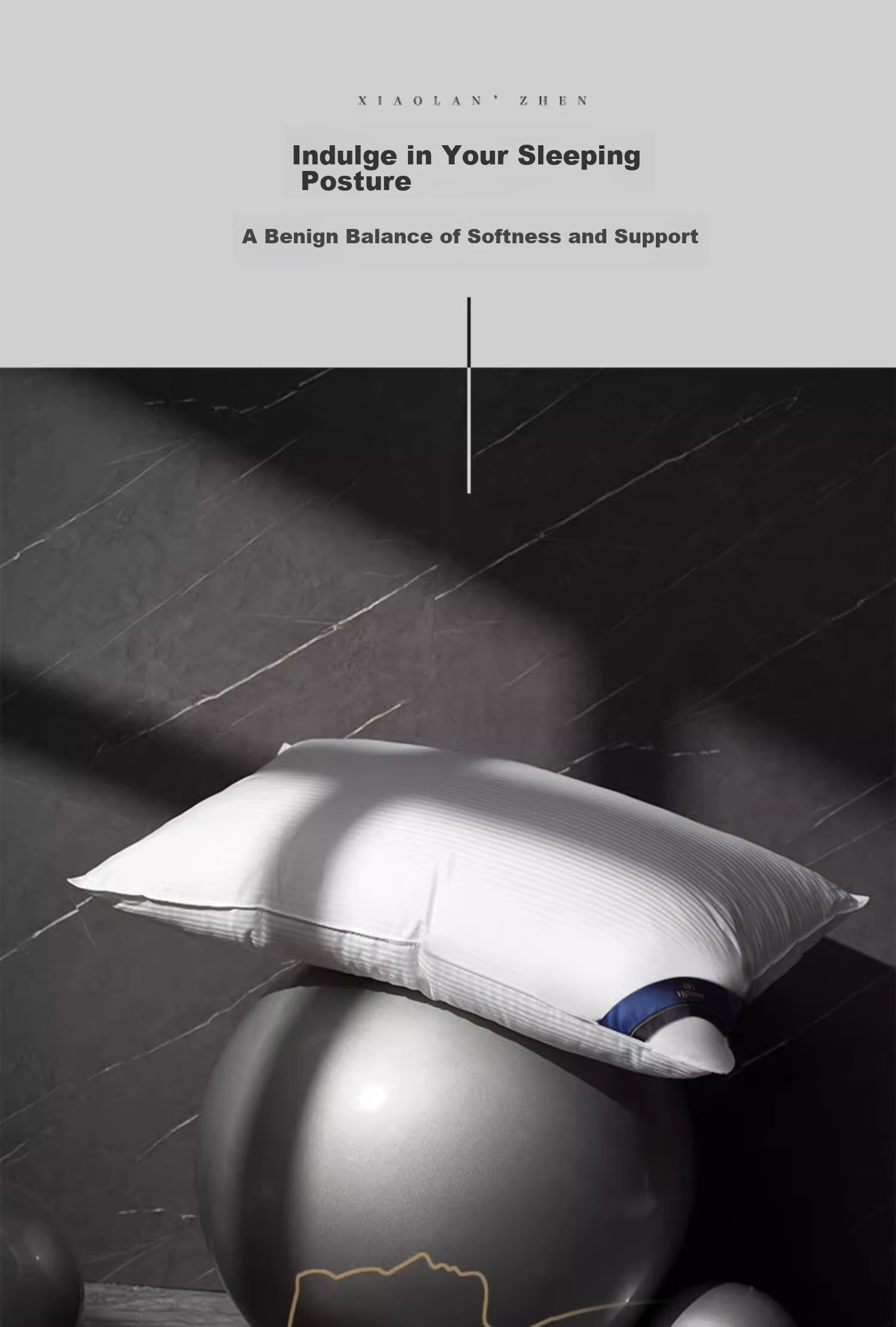 Canasin Pillow [Hilton Comfort Pillow], Antibacterial Adult Neck Support Home Pillow, 48*74cm, Champagne 8