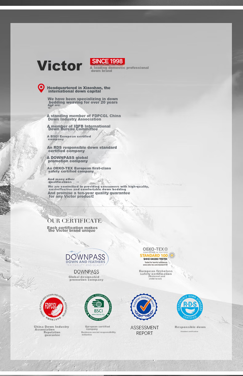 VCD Pillow, Five-Star Hotel Comfortable Feather Pillow, Soft Goose Down Pillow Core, White, Filled with 1.25kg, 74*48cm 2