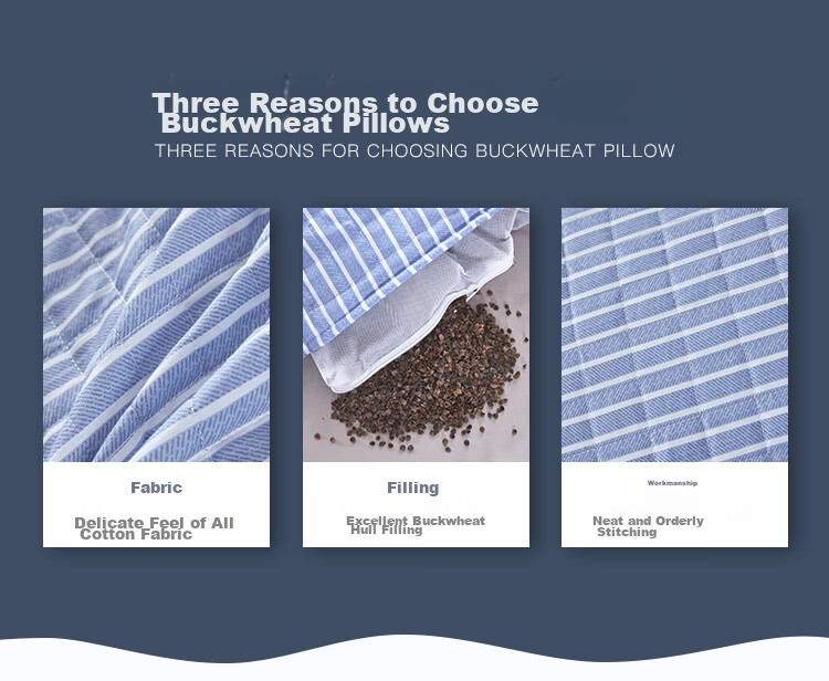 YALU & FREEDOM Pure Cotton Buckwheat Pillow, 100% All Buckwheat Hull Pillow Core, Adult Sleeping Cervical Spine Protection Pillow, 5 Jin (2.5 Kg), 46x72 Cm, Blue Patter 2